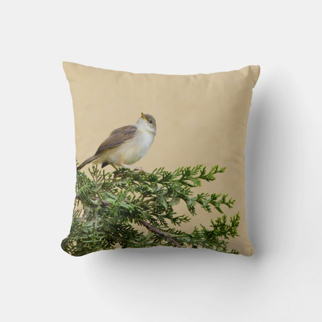 Coussin Moineau  (Recto)