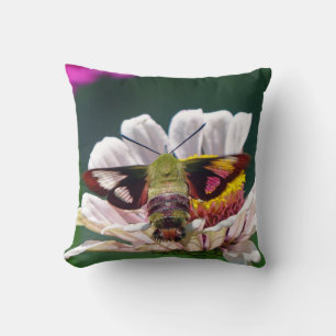 Coussin Mois des colibris