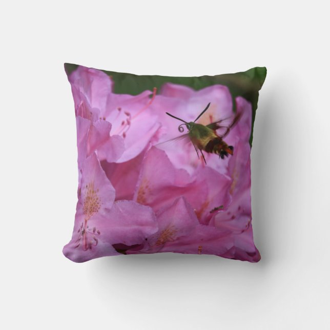 Coussin Mois des colibris (Recto)