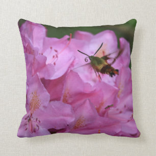 Coussin Mois des colibris