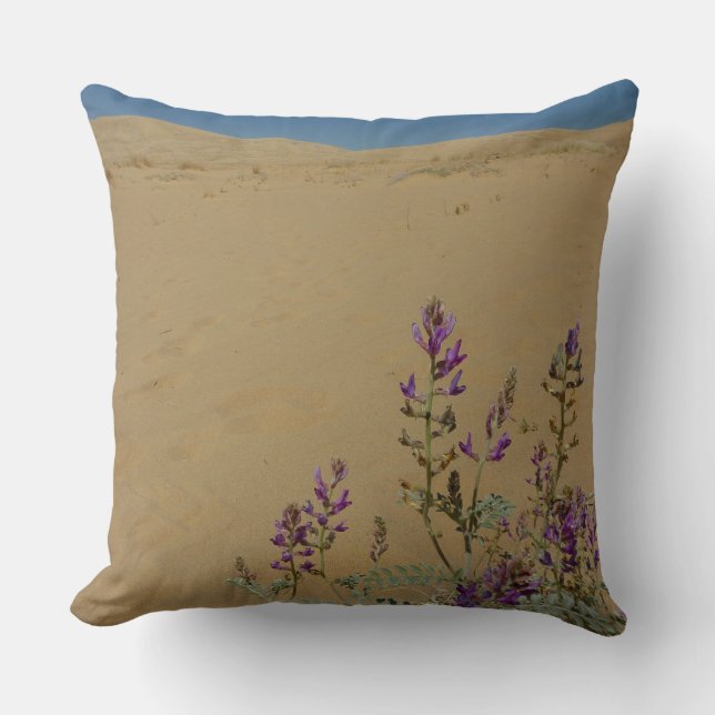 Coussin Mojave Indigo Bush et Kelso Dunes (Recto)