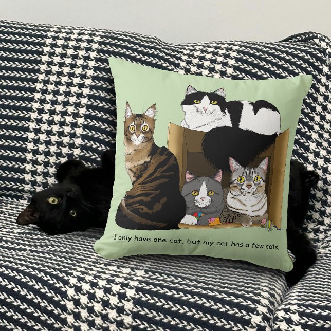 Coussin Mon chat a des chats (Créateur téléchargé)