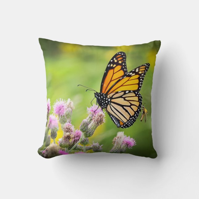 Coussin Monarch on Thistle (Recto)