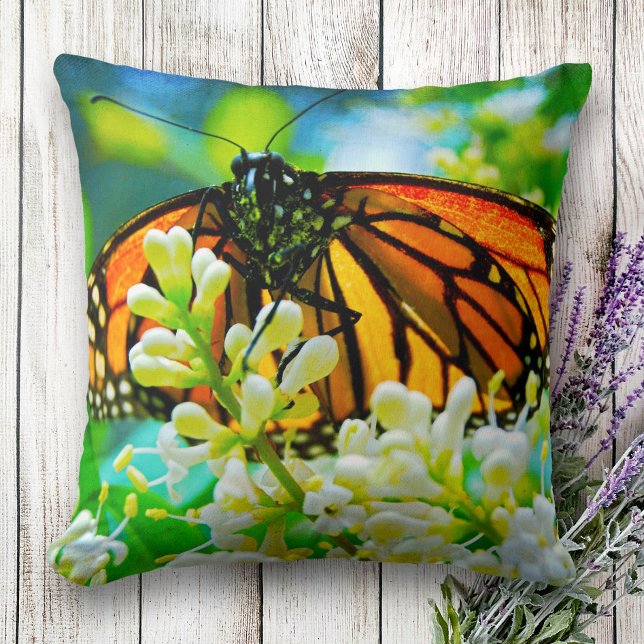 Coussin Monarque papillon orange photo fleur blanche gras (Créateur téléchargé)