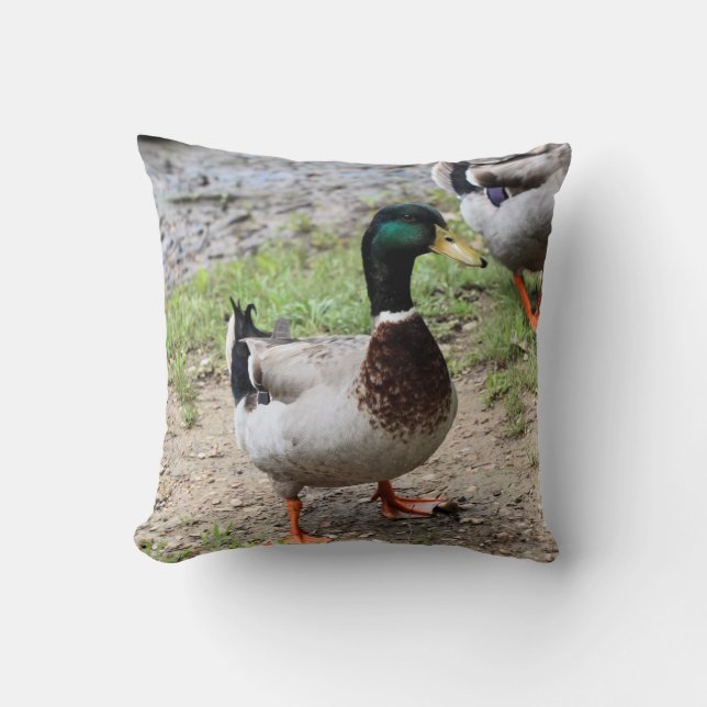 Coussin Monsieur Canard (Recto)