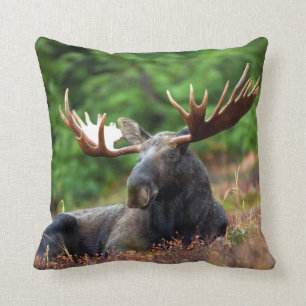 Coussin Moose
