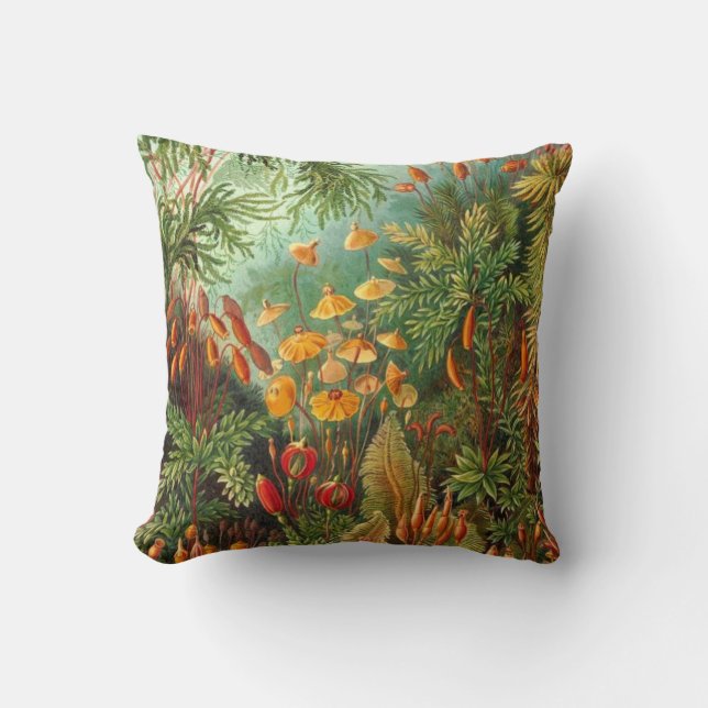 Coussin Moss - Ernst Haeckel (Recto)