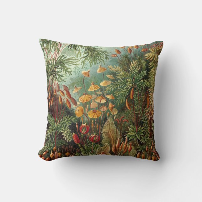 Coussin Moss (Muscinae) par Haeckel (Recto)