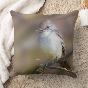 Coussin Moucherolle à gorge cendrée souriante sur la branc