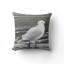 Mouette en mer