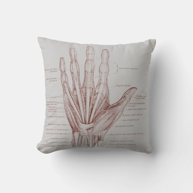 Coussin Muscles de doigts de main - anatomie (Recto)