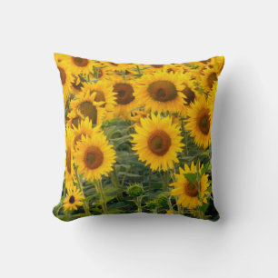 Coussin Na, États-Unis, Colorado, Tournesols