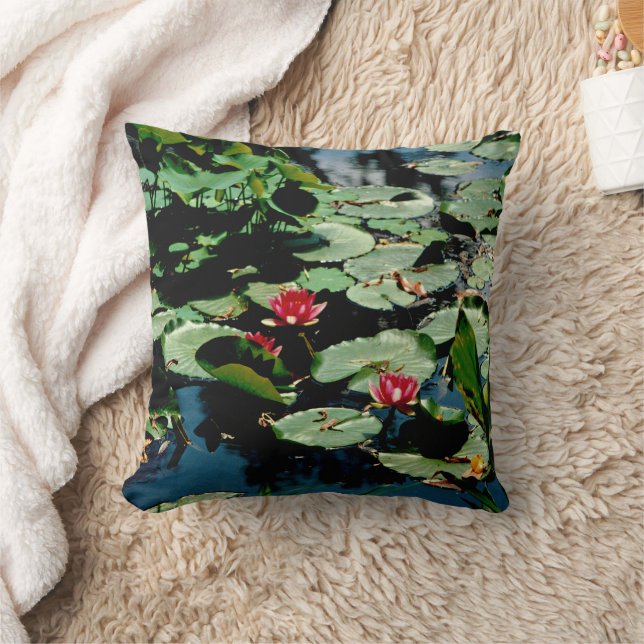 Coussin Nappes D'Eau (Couverture)