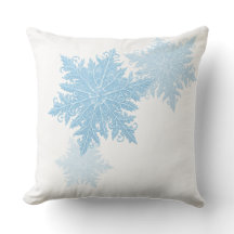 Neige d'hiver 