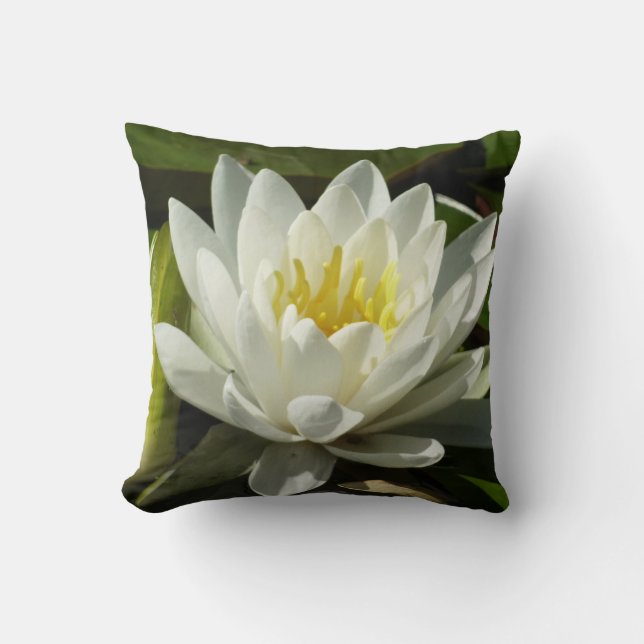Coussin Nénuphar blanc et bud Floral (Recto)