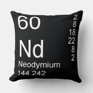 Coussin Néodyme