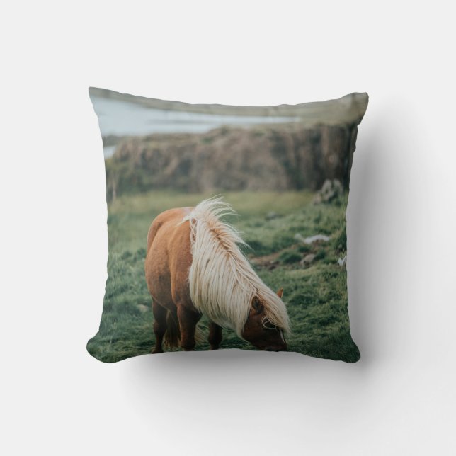 COUSSIN NICE HORSE (Recto)