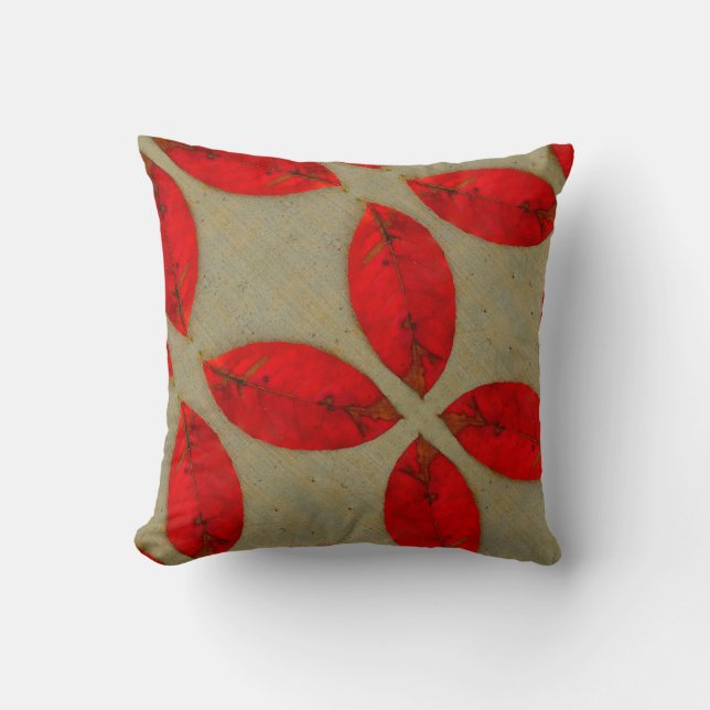 Coussin noir n Taupe gris rouge chute laisse solide (Recto)