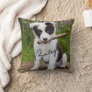 Coussin Nom de la photo de l'animal Pilote