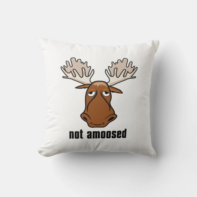 Coussin Non Amogé (Recto)