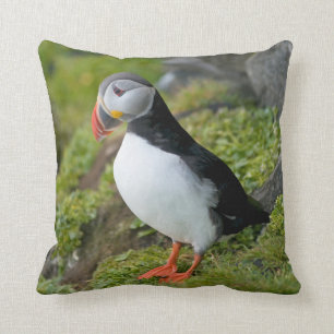 Coussin Norvège, Archipel de Svalbard, Spitsbergen 9