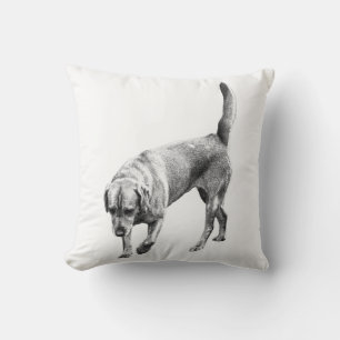 Coussin Observateur Amber Twilight