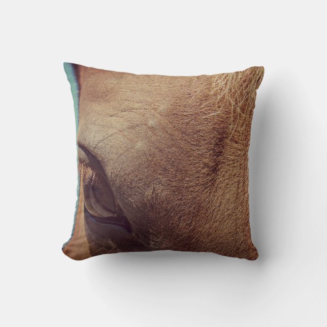 Coussin Oeil du cheval (Recto)