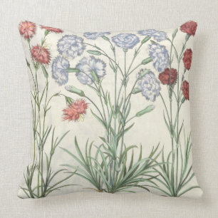 Coussin Oeillets : albo multiplex du flore 1.Caryophyllus