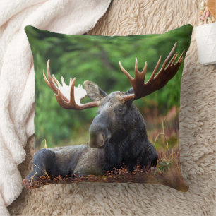 Coussin Oie