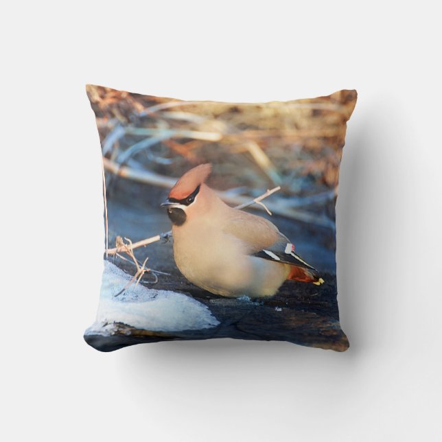 Coussin Oiseau (Recto)