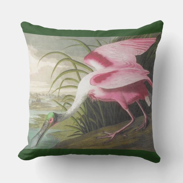 Coussin Oiseau à bec jaune vert rose double face (Recto)