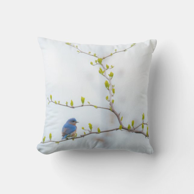 Coussin Oiseau bleu oriental d'oiseau animal (Recto)