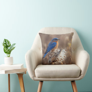 Coussin Oiseau bleu sur une cosse d'asclépiade