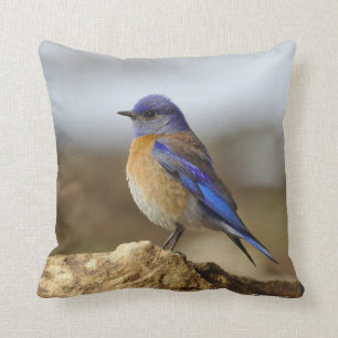 Coussin Oiseau, Bluebird, 2 côtés,