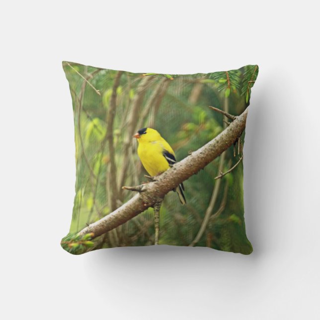 Coussin Oiseau chanteur américain de chardonneret - (Recto)