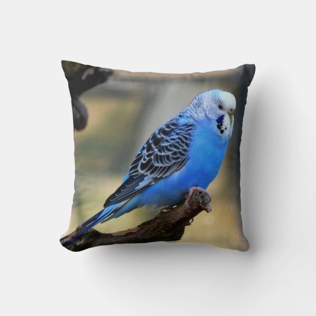 Coussin Oiseau de Blue Budgie Parrot (Recto)