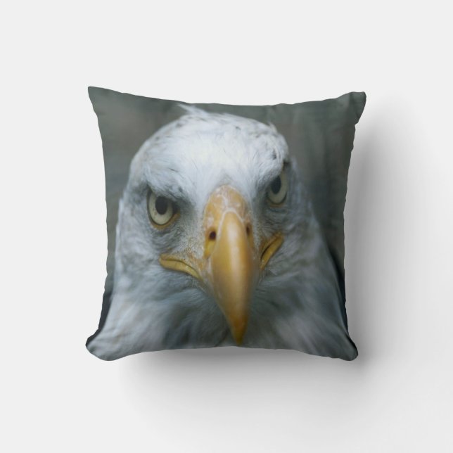 Coussin Oiseau de la proie #21-Bald Eagle (Recto)