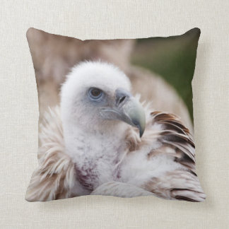 Coussin Oiseau de la proie #7-Vulture