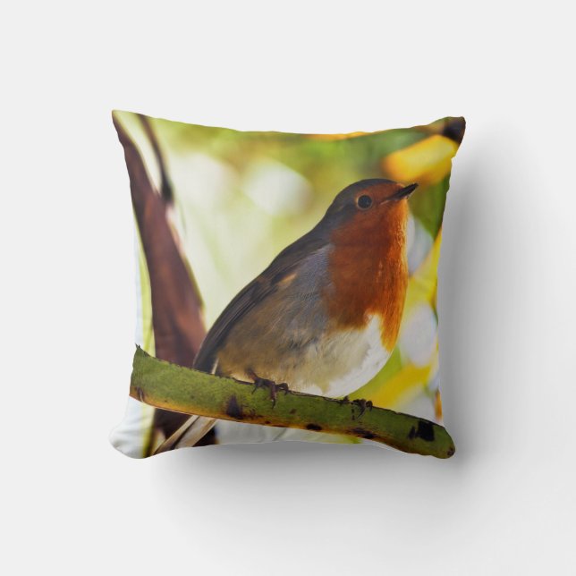 Coussin Oiseau rouge de sein de Robin (Recto)