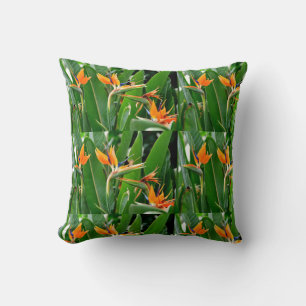 COUSSIN OISEAU TROPICAL DU PARADIS