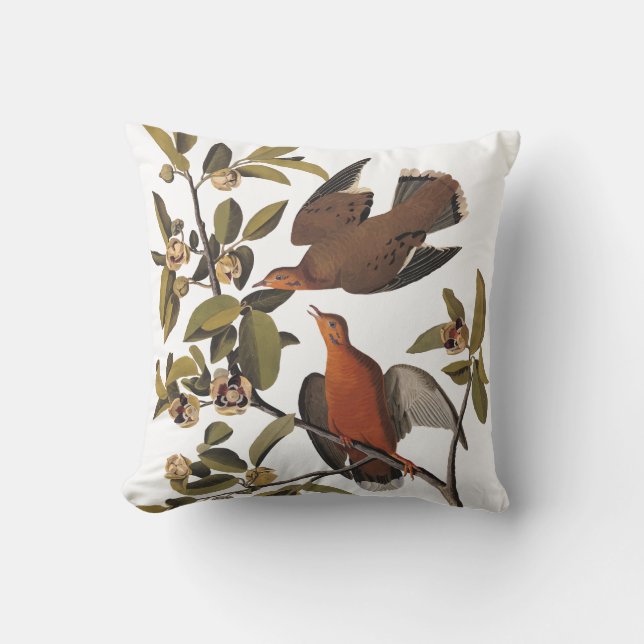 Coussin Oiseaux de la colombe Zenaida d'Audubon sur la bra (Recto)