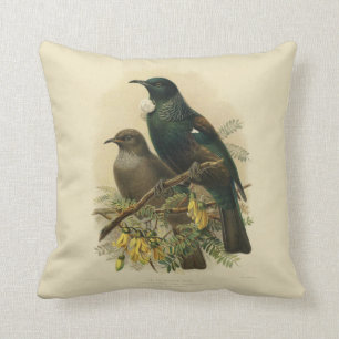 Coussin Oiseaux vintages de NZ de la Science - Tui
