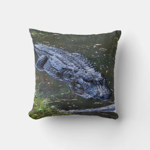 Coussin Ombre dans les Hauts-Fonds
