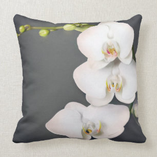 Coussin Orchidaceae (orchidées blanches)