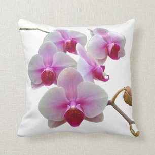 Coussin Orchidées de mite roses sur le blanc -