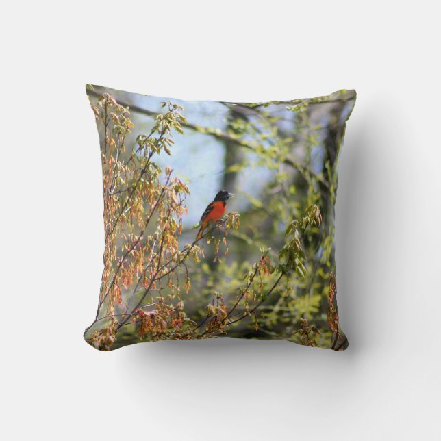 Coussin Oriole Baltimore (Recto)