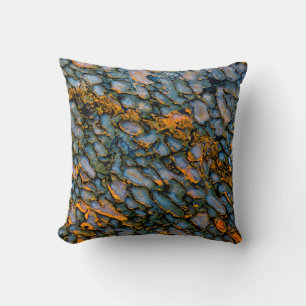 Coussin Os de dinosaure pétrifié