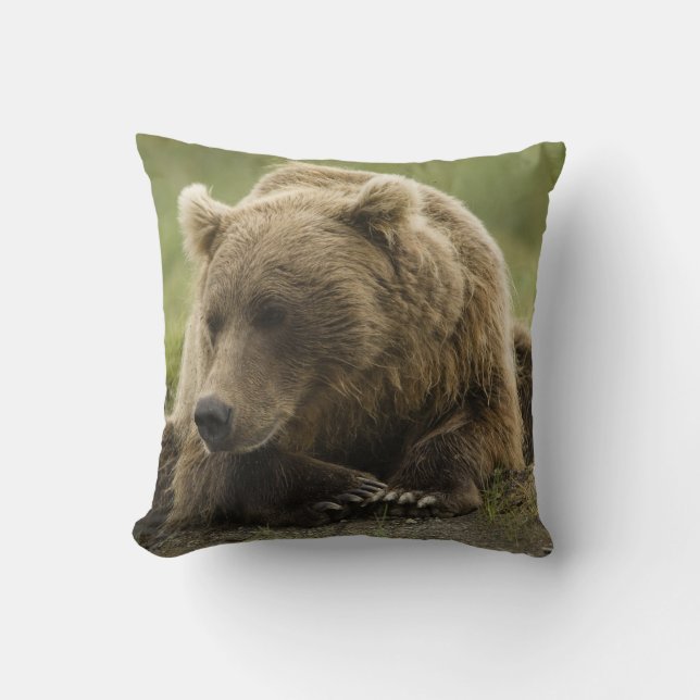 Coussin Ours brun, ou Ours grizzly côtier, Ursus (Recto)