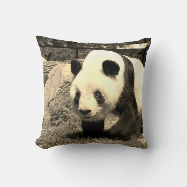 Coussin Ours de Panda (Recto)