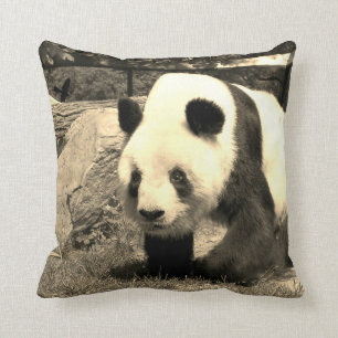 Coussin Ours de Panda